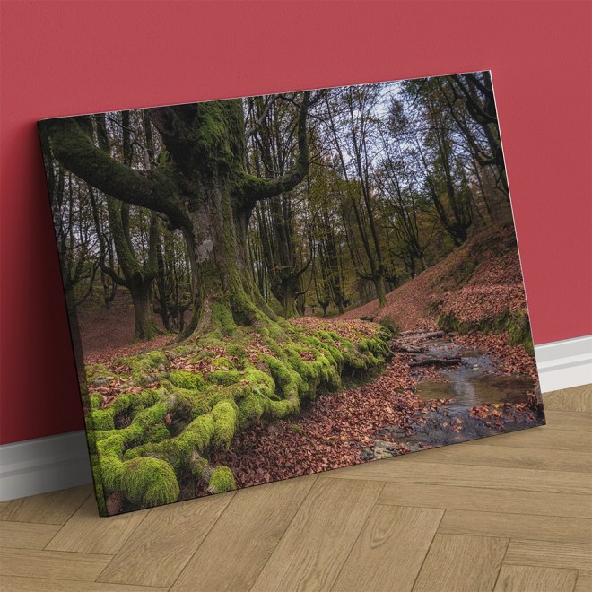 canvas